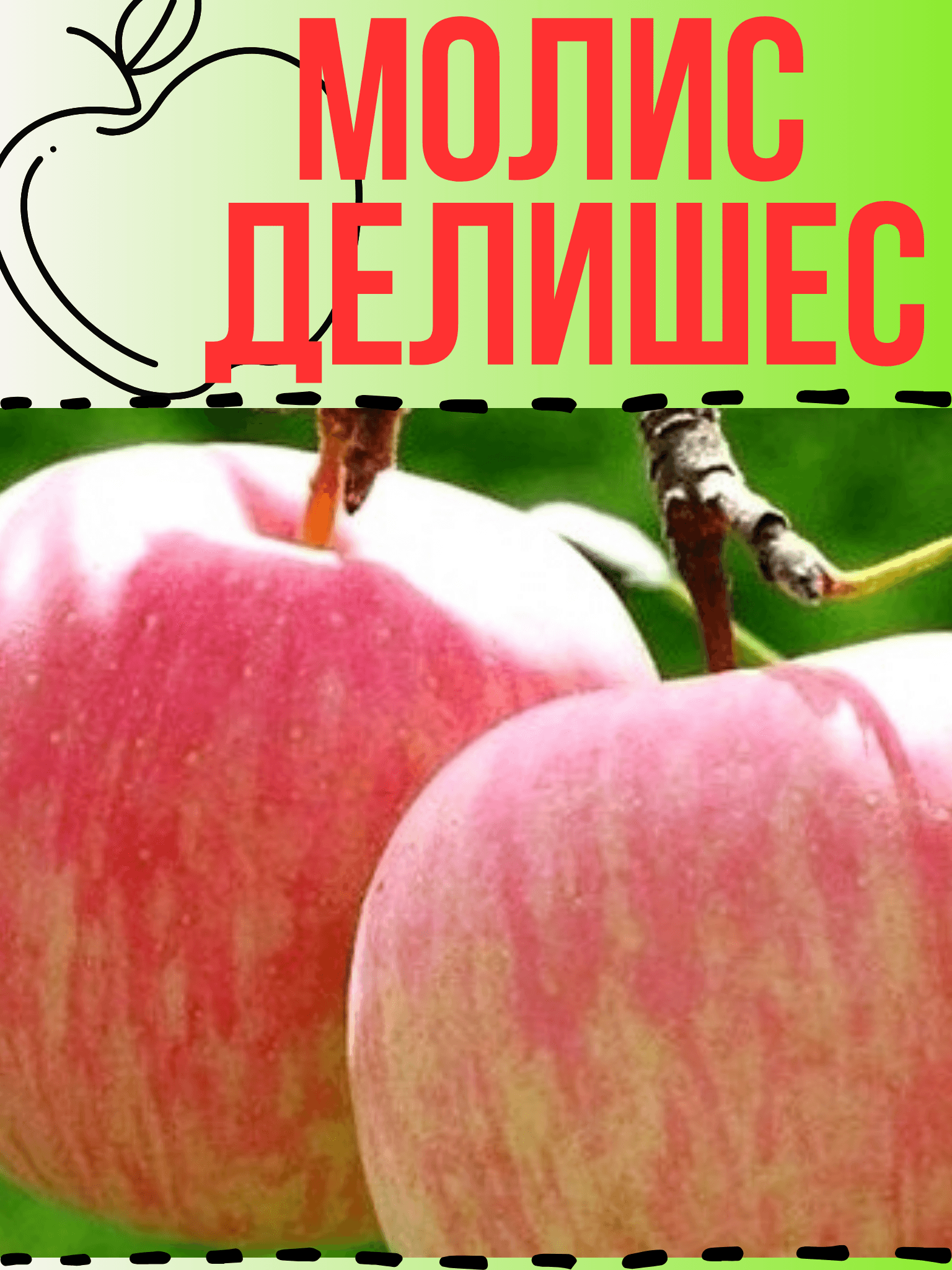 Молис Делишес